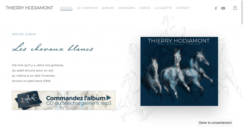 Thierry Hodiamont home page